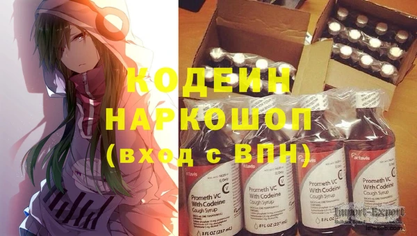 гашик Балахна