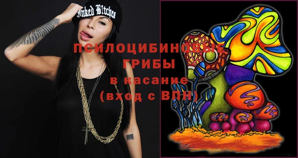 гашик Балахна