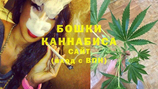 гашик Балахна