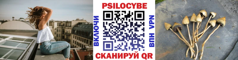 Псилоцибиновые грибы Psilocybe  Крымск 