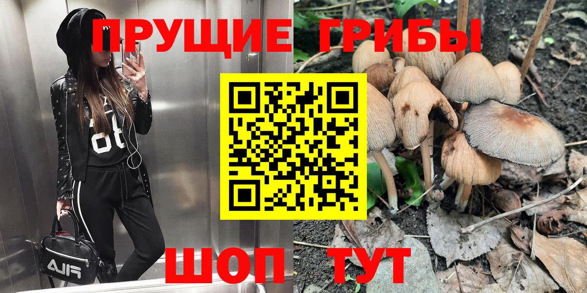 Крымск  сколько стоит  Вход с VPN  Псилоцибиновые грибы мицелий 